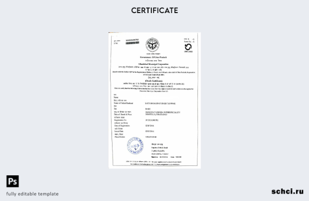 скачать цифровую версию шаблона свидетельства о смерти правительства штата Уттар